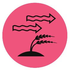 wu wei tao taoïsme