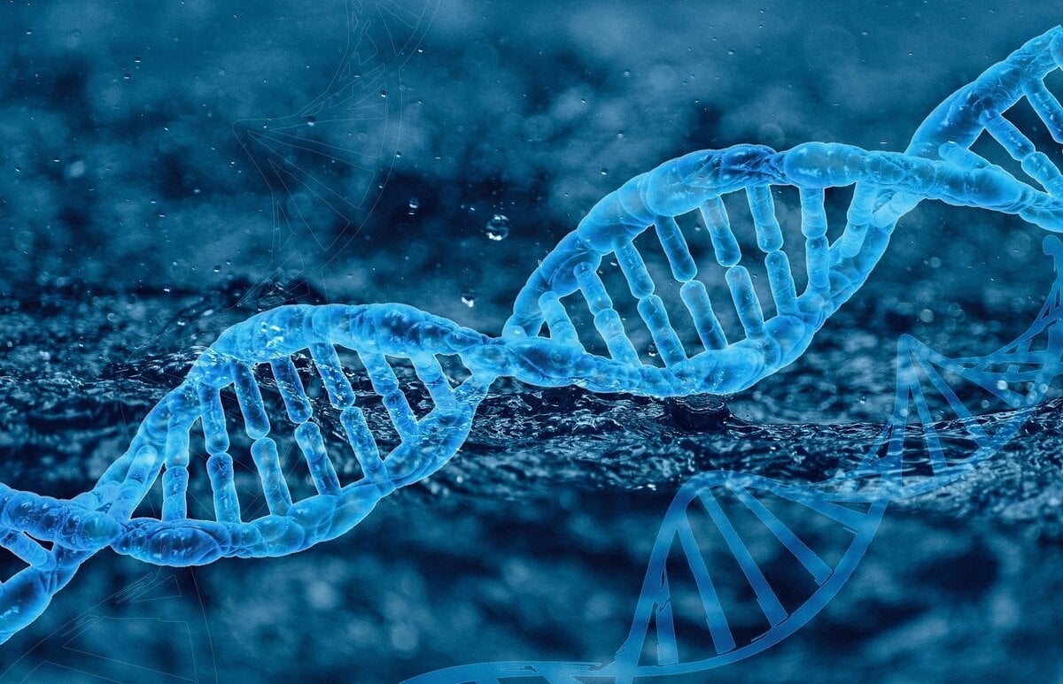 DNA sequentie genen