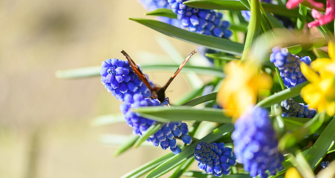 Weekendlijstje: Beginnen
