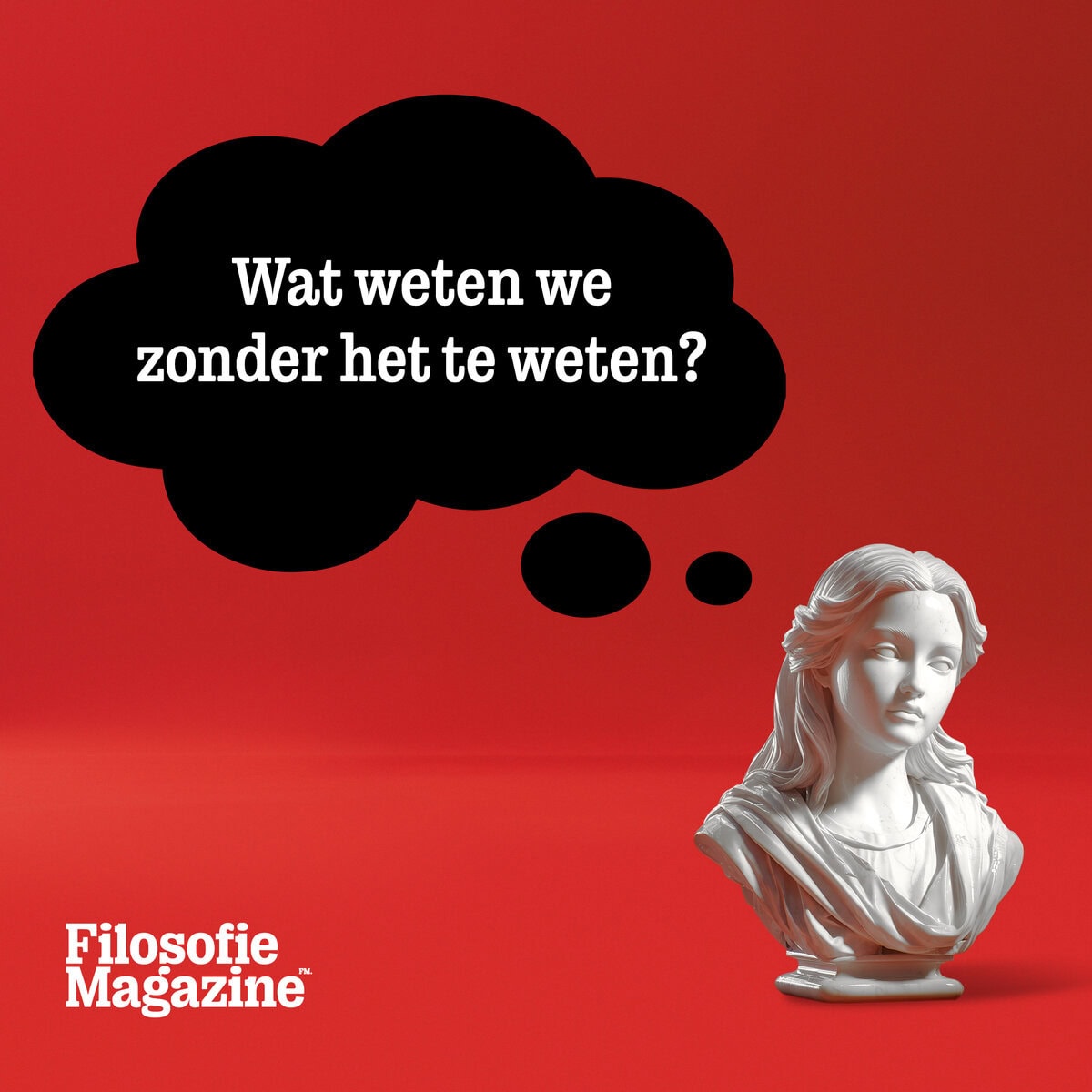 Wat weten we zonder het te weten Filosofie Magazine
