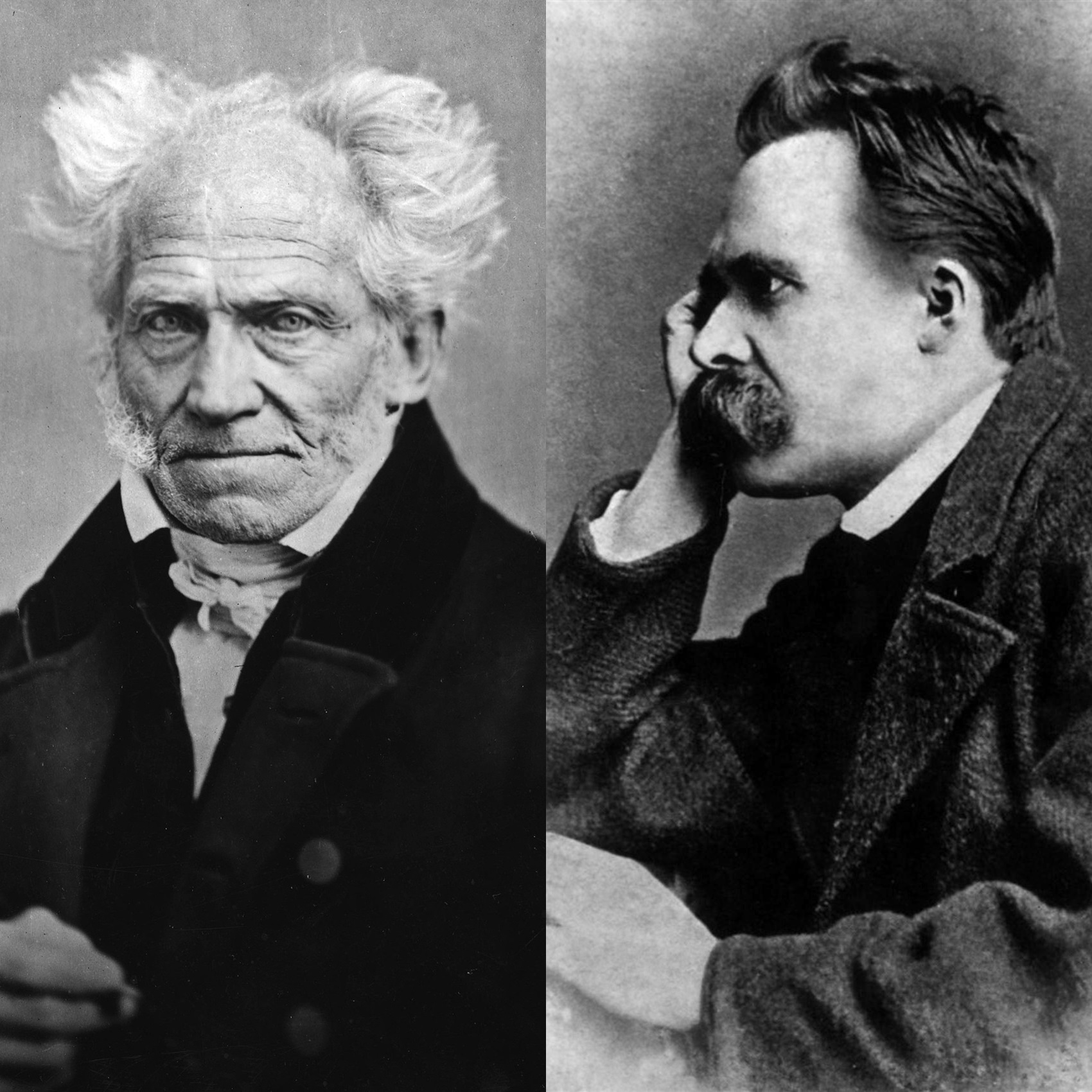 Schopenhauer en Nietzsche