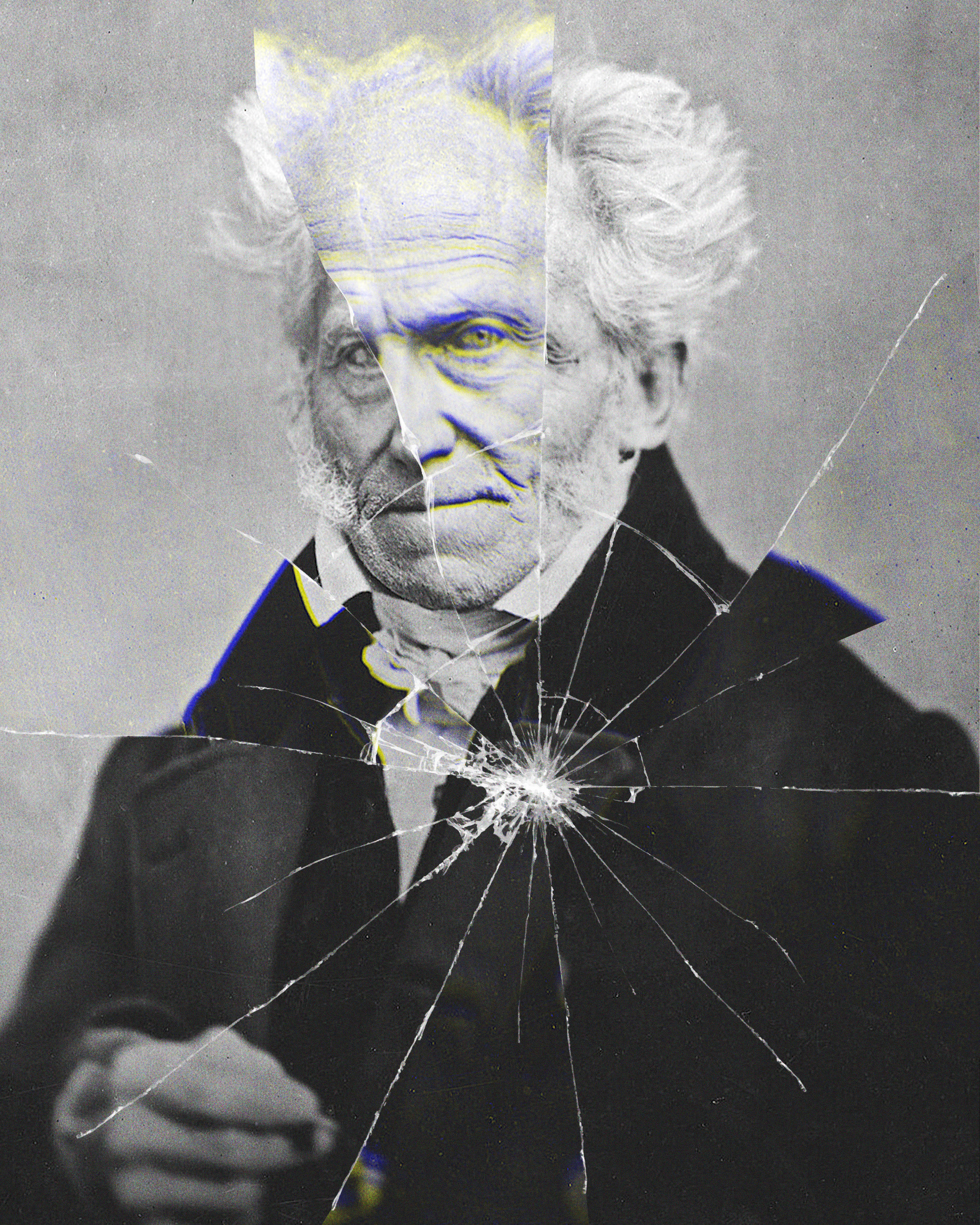 Arthur Schopenhauer spoedcursus het menselijk tekort