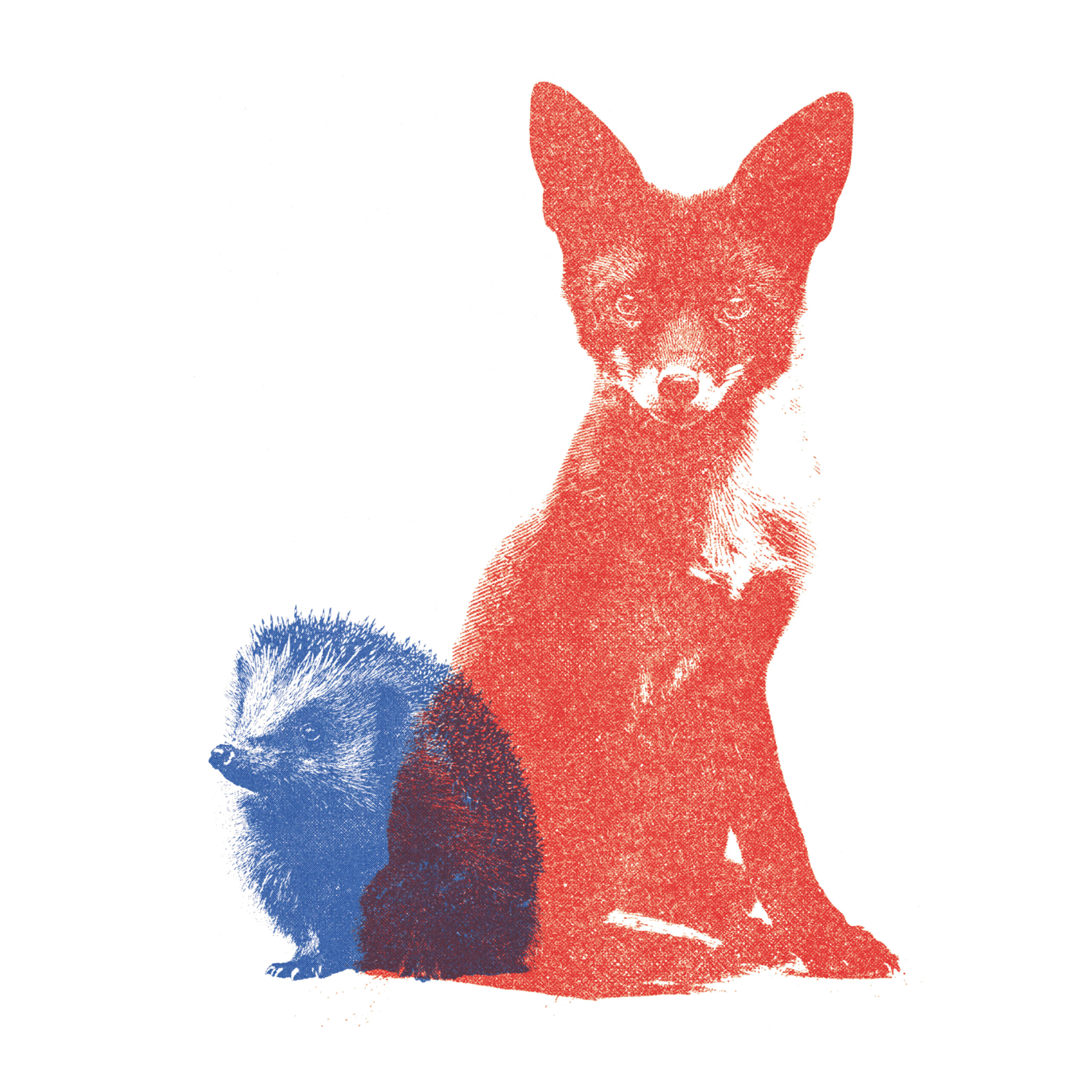 vos en egel nieuwsgierigheid