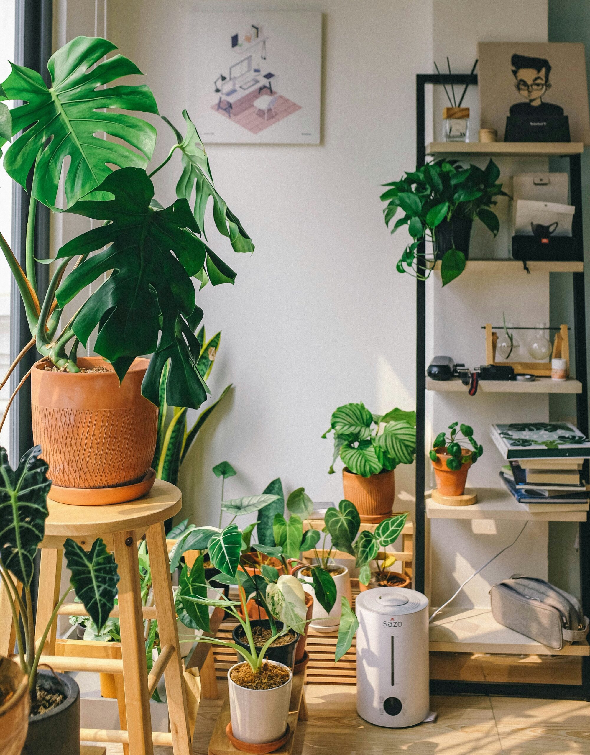 kamerplant en andere planten in een woonkamer